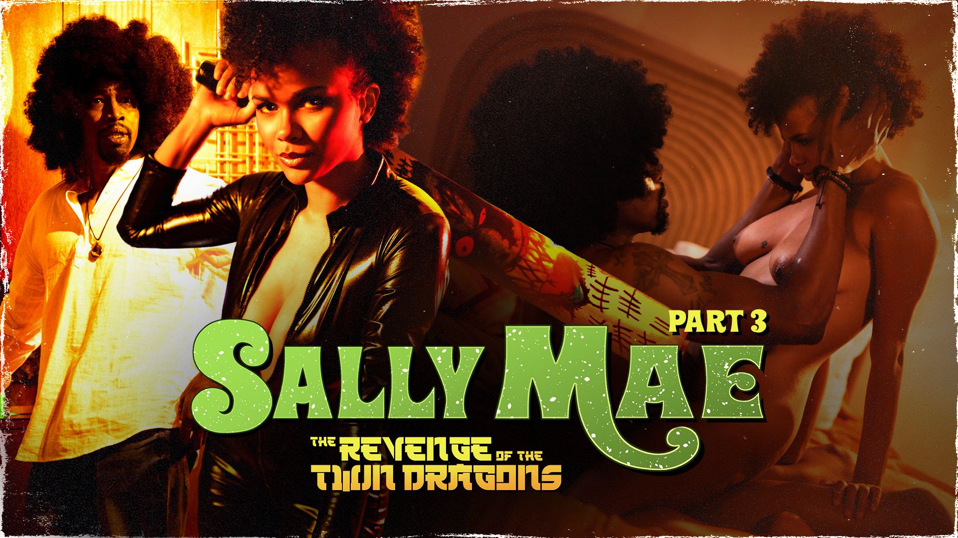 Sally Mae: La Venganza De Los Dragones Gemelos: Parte 3 – Sally Mae: The Revenge Of The Twin Dragons: Part 3 – Sweet Sweet Sally Mae